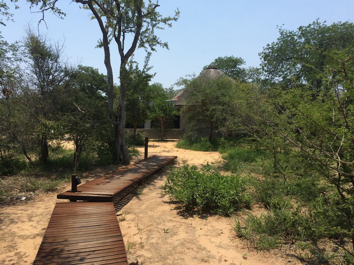 Leadwood Lodge Hoedspruit Ngoại thất bức ảnh