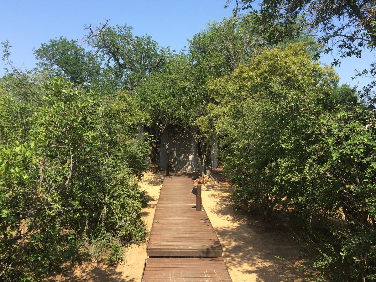 Leadwood Lodge Hoedspruit Ngoại thất bức ảnh