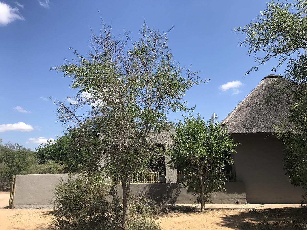 Leadwood Lodge Hoedspruit Ngoại thất bức ảnh